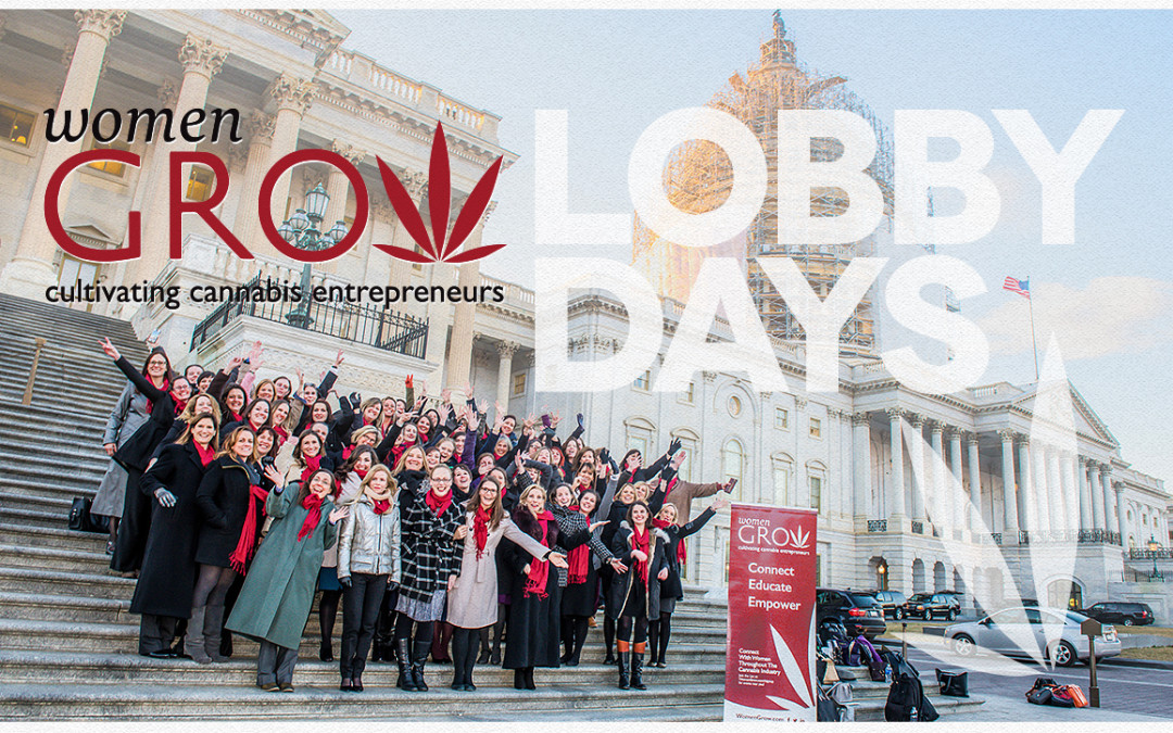 Coming Out of the Closet : My Cannabis&nbsp;Confession