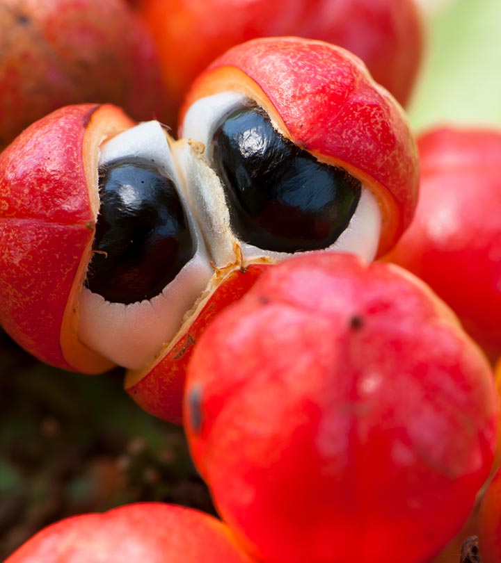 The-Goodness-Of-Guarana-What-Is-It-Why-Should-You-Try-It